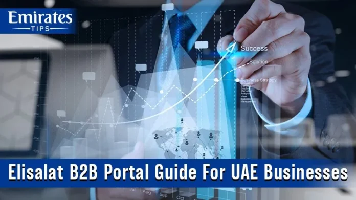 Etisalat B2B Portal: Why It Matters for UAE Companies